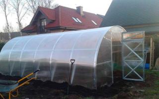 Hur förbereder man ett växthus för den nya säsongen på våren?