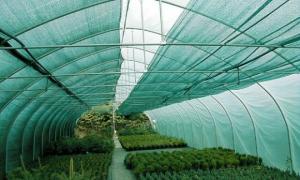Trött på solen: skydda växter i växthuset