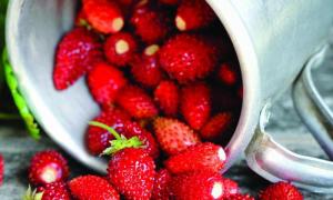Как отличить ягоды между собой